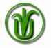 International Vegetarian Union