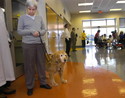 http://im.gifbt.com/au/mail-home-show/mail-home-show-4729-125x100.jpg
