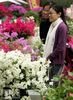Melbourne International Flower & Garden Show