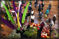 Melbourne International Flower & Garden Show