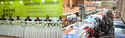 Basis Soft Expo