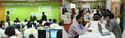 Basis Soft Expo