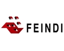 Feindi