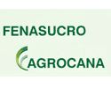 Fenasucro and Agrocana