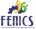 Fenics
