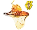 GOVERNMENTAL BEEKEEPING FAIR