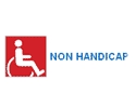 Non-Handicap