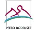 Pferd Bodensee