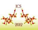 International Carbohydrate Symposium
