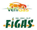 VEHIGAS logo