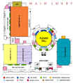 Hall & Floor Plan