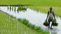 http://im.gifbt.com/in/agri-intex/agri-intex-8006-125x100.jpg