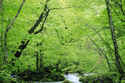 http://im.gifbt.com/in/agri-intex/agri-intex-8008-125x100.jpg