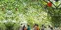 http://im.gifbt.com/in/agri-intex/agri-intex-8009-125x100.jpg