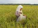 http://im.gifbt.com/in/agri-intex/agri-intex-8010-125x100.jpg