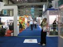 GLASSPEX INDIA