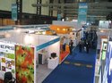 GLASSPEX INDIA