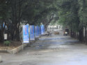illuminex India