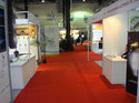 illuminex India