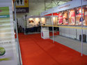 illuminex India