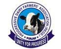 Progressive Dairy Farmers