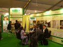INDIA STONEMART