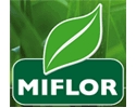 MIFLOR