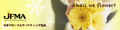 Japan Floral Marketing Association (JFMA)
