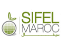 Sifel Morocco