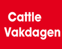 Cattle Vakdagen Hardenberg Cattle Vakdagen Hardenberg