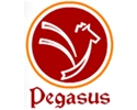 Pegasus Consultancy Private Limited Pegasus Consultancy Private Limited