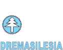 Dremasilesia - Mebeltechexpo