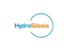 Hydrosilesia