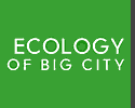 Ecology of Big City