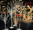 Northern Light Fair