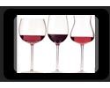 Wine Fair Slovania