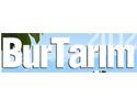 Burtarim