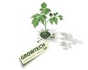 GROWTECH EURASIA