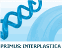 Primus Interplastica