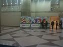American International Toy Fair