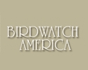 Birdwatch America