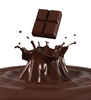 Chicago Chocolate Festival