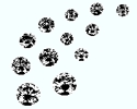 Gem Mineral & Jewelry Show-Harrisonburg