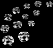 North Georgia Bead Gem Mineral & Jewelry Show