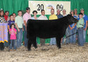 Ohio State Fair